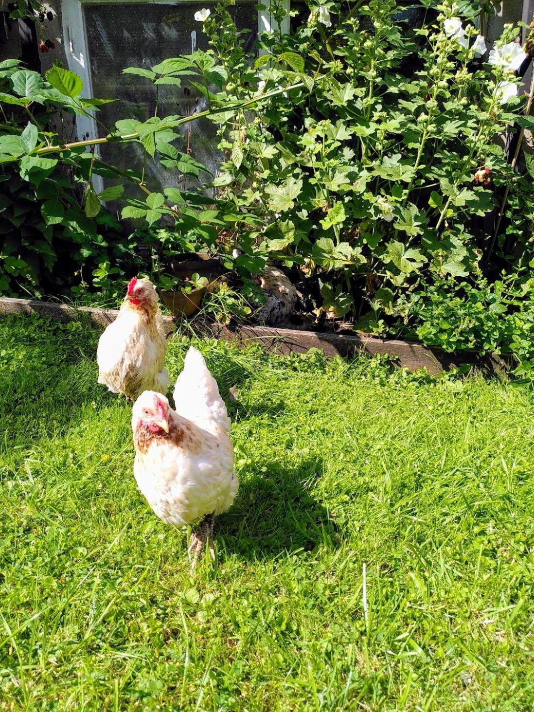 Laegenhet Naturnaera I Henån 외부 사진